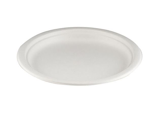 Disposable bagasse plate